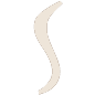 Synergy Beauty
